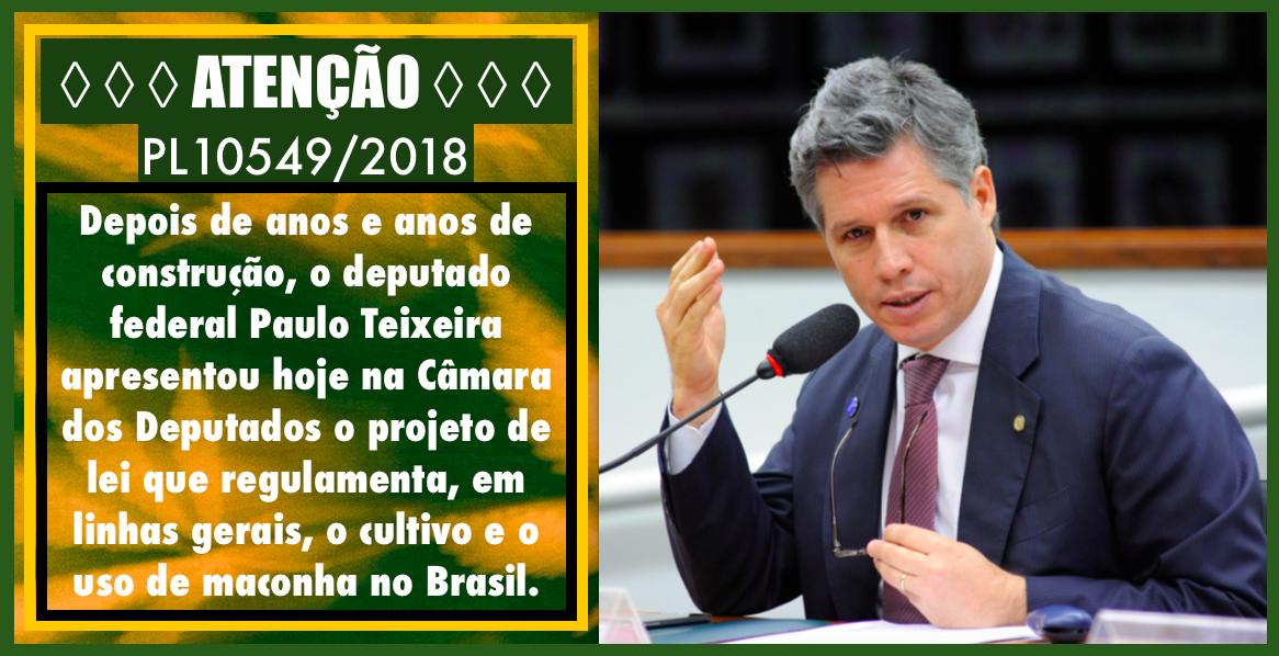 Projeto de Lei PL10549/2018 que regulamenta o uso e o cultivo de cannabis no Brasil é apresentada na Camara dos Deputados pelo Dp.: Paulo Teixeira