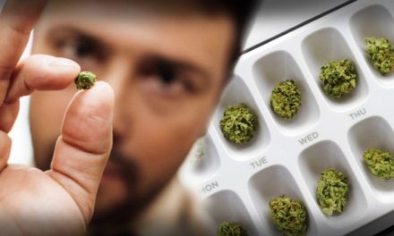 Porque consumir microdoses de cannabis é melhor para algumas pessoas?