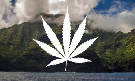 Havaí é o 26º estado dos EUA a descriminalizar a maconha
