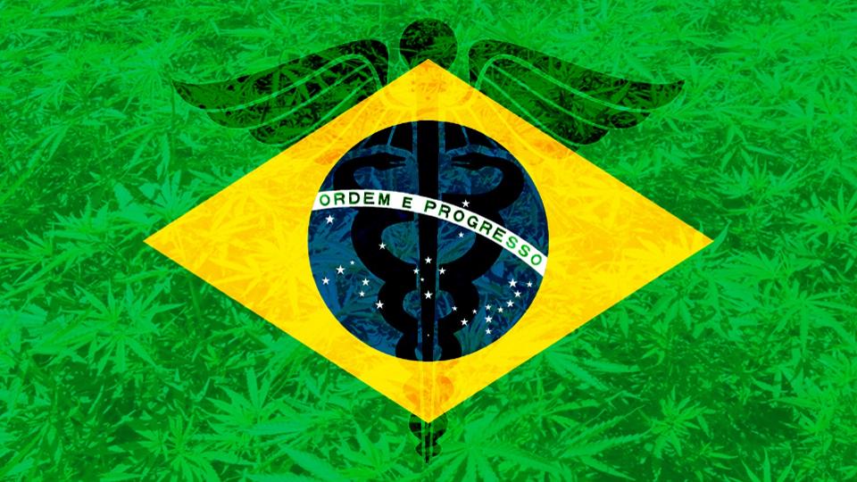 STJ define competência para viabilizar, para fins medicinais, o cultivo da Cannabis (maconha)