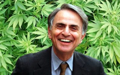 Carl Sagan escreveu ensaios Sob Efeito de maconha e dizia que a erva lhe dava ‘inteligência e sabedoria’