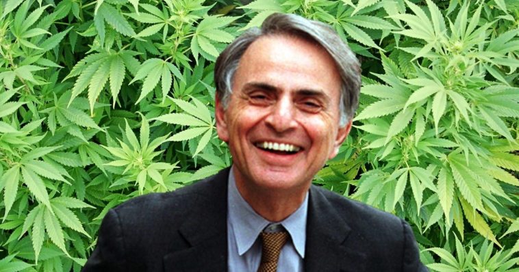 Carl Sagan escreveu ensaios Sob Efeito de maconha e dizia que a erva lhe dava ‘inteligência e sabedoria’