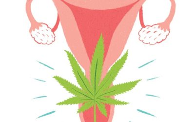 Tampões Feitos com cannabis podem remediar a dor do período em apenas 30 minutos