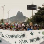 Alerj aprova pesquisa e cultivo da maconha medicinal no Rio para associações