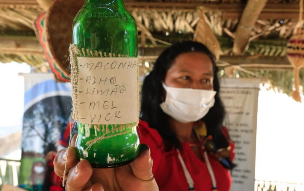 Indígenas do Maranhão usam remédio de jenipapo e maconha contra a Covid-19