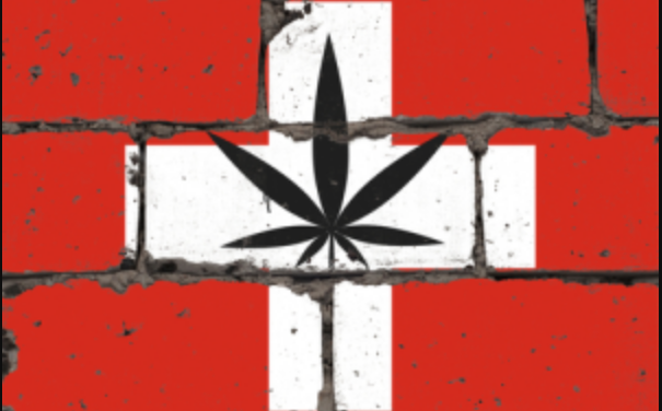Suíça legaliza a cannabis medicinal e permite exportação
